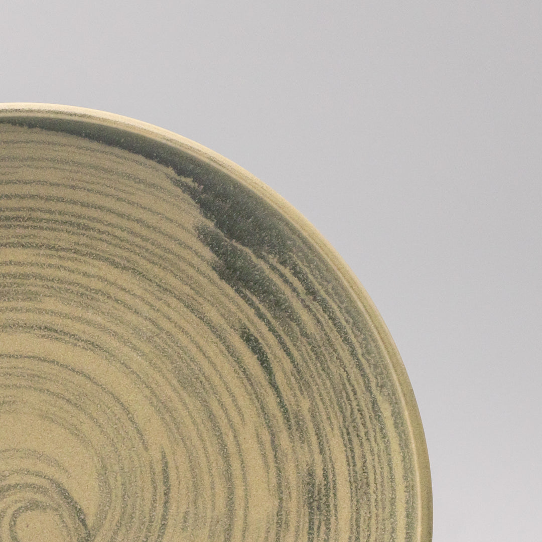 Premium 26cm Washed Fern Glaze Ceramic Dinner Plate Dishwasher Microwave Safe