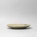 Premium 26cm Washed Fern Glaze Ceramic Dinner Plate Dishwasher Microwave Safe