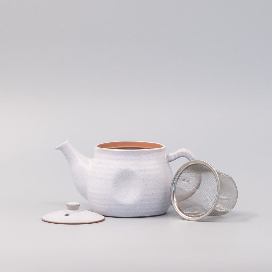 Premium 300ml Speckled White Glaze Ceramic Teapot Japanese Tea Pot