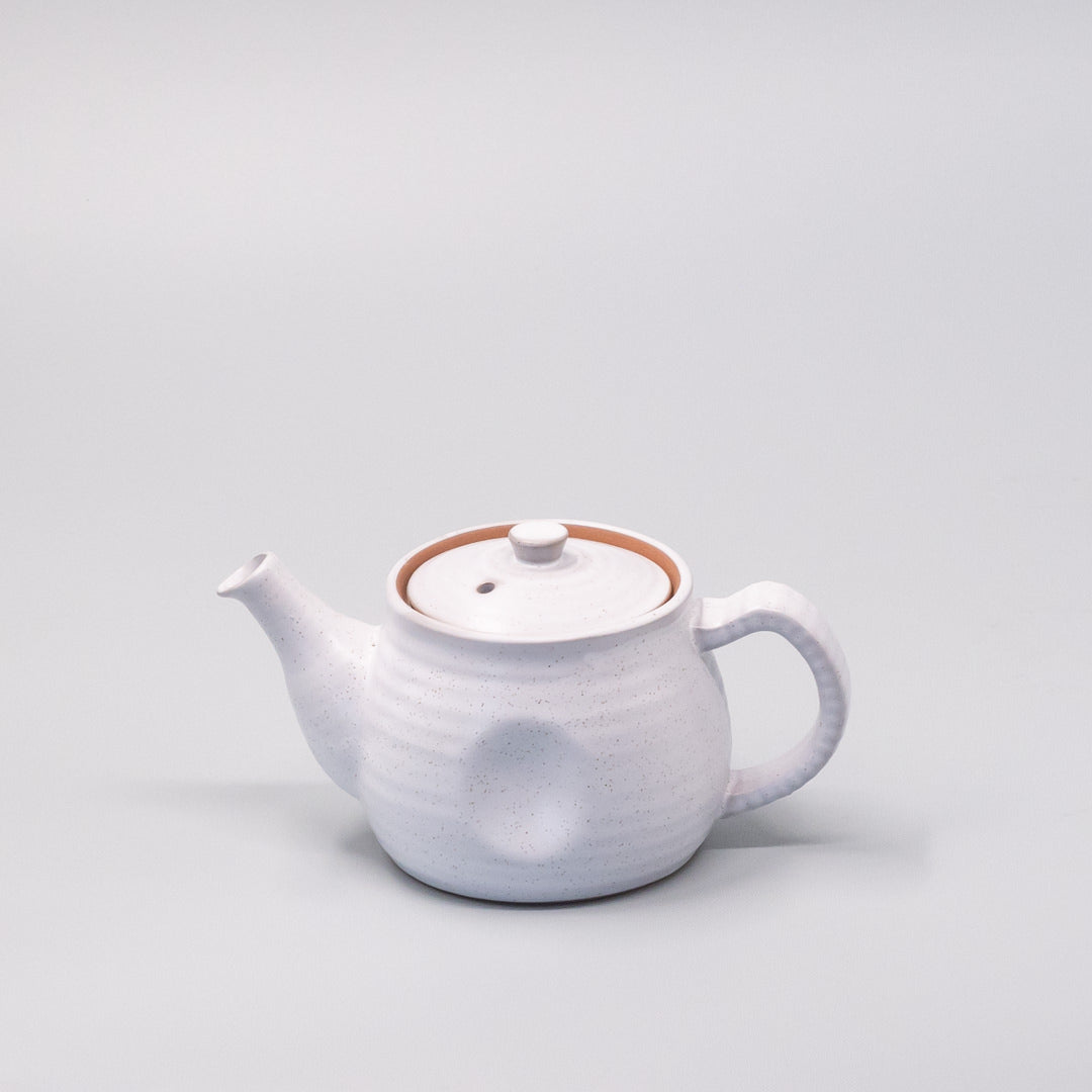 Premium 300ml Speckled White Glaze Ceramic Teapot Japanese Tea Pot