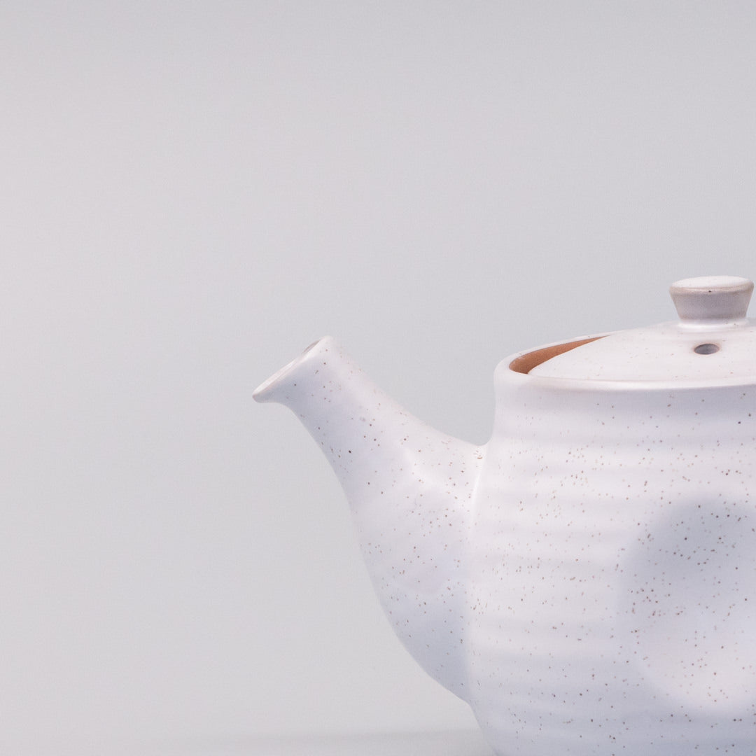Premium 300ml Speckled White Glaze Ceramic Teapot Japanese Tea Pot
