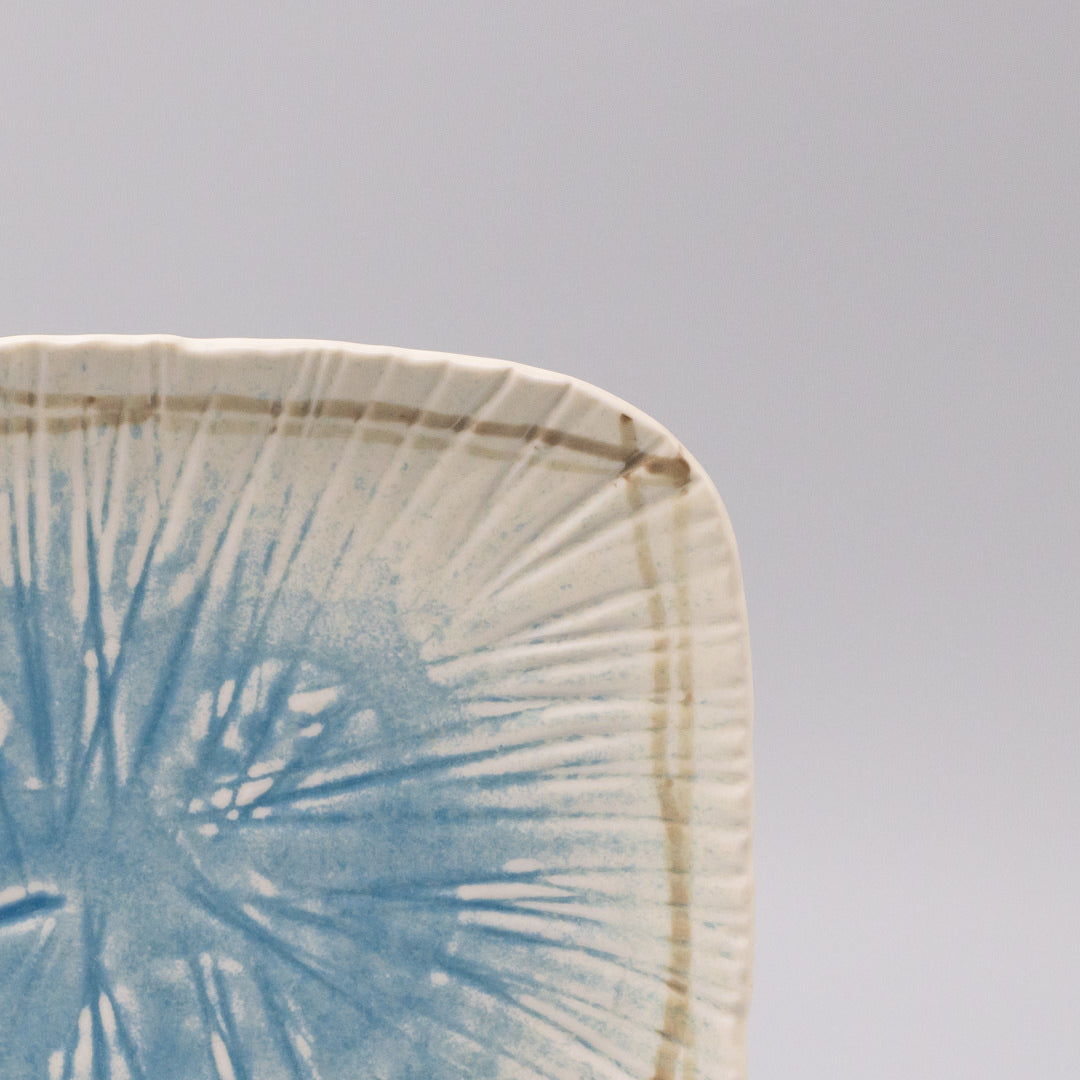 Premium Sushi Platter with Okinawa Glaze - 25.8cm