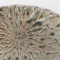 Premium D-Shaped Plate – Beige Moss Net Design 21cm