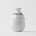 White Glaze Ceramic Sake Jug 300ml Japanese Pourer Dishwasher Microwave Safe