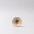 Sauce Dish 8cm Radiant Line Toffee Stripe Glaze
