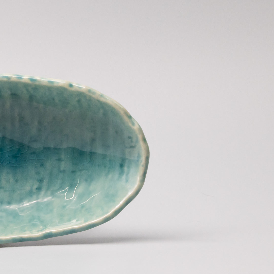 Premium 21cm Crackle Turquoise Glaze Ceramic Sushi Plate Dishwasher Safe