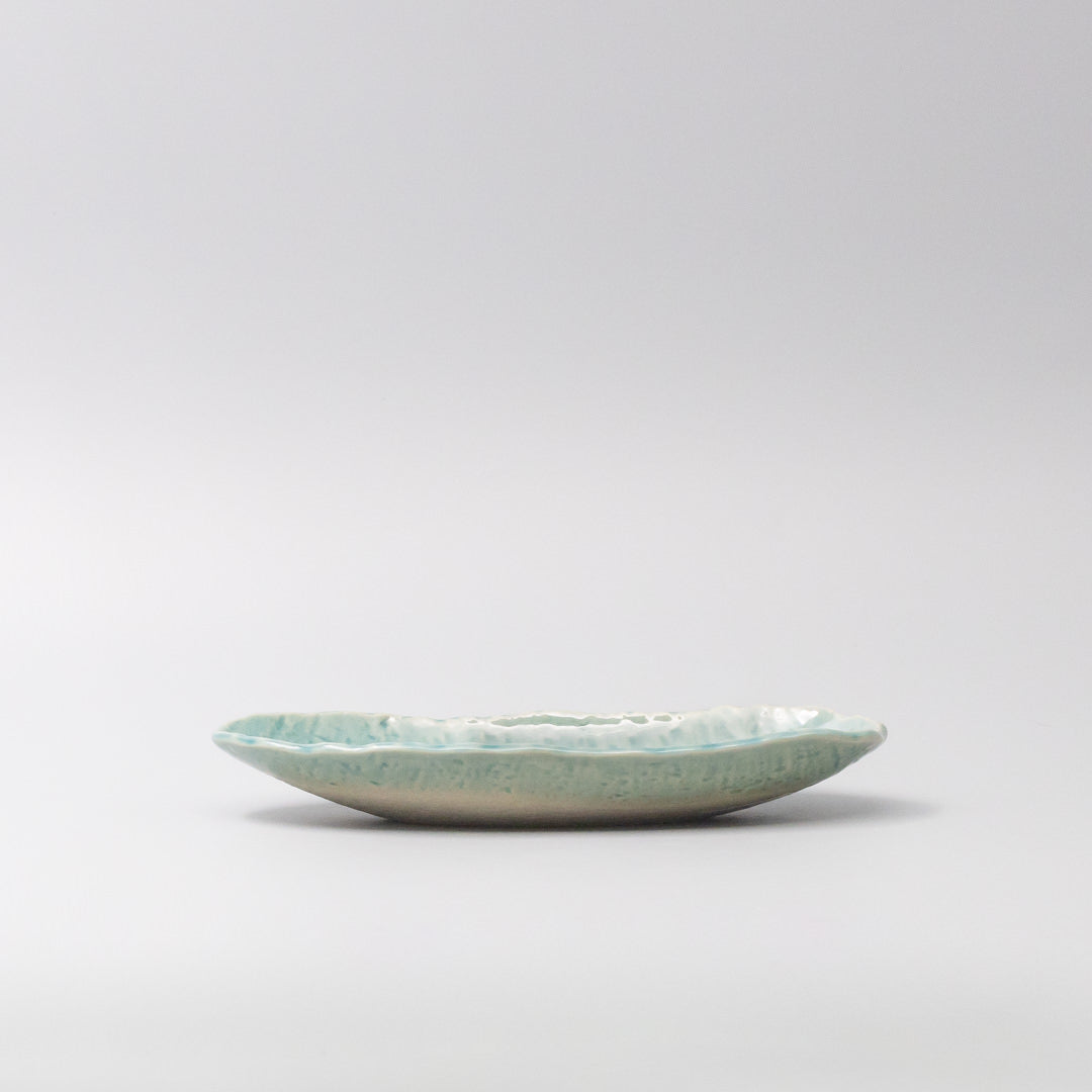 Premium 21cm Crackle Turquoise Glaze Ceramic Sushi Plate Dishwasher Safe
