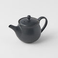 Premium 400ml Matte Black Glaze Ceramic Teapot Japanese Tea Pot