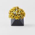 Premium Triangular Vase – Matte Black Glaze 130ml