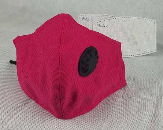Adjustable Reusable Cotton Face Mask - Pink with 2 PM2.5 Filters
