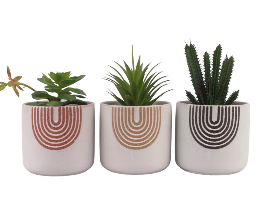 Rainbow Ceramic Pot Planter Set of 3, 13cm, Multi Colour, Elegant Design - SuperSaverAU - view 1