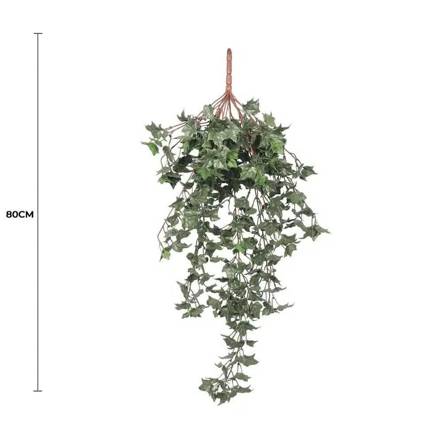 Designer Plants Hanging English Ivy Bush 80cm, UV Resistant, Low Maintenance - SuperSaverAU - view 1