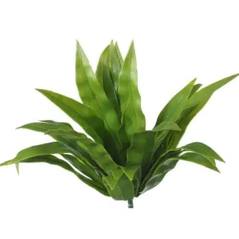 Aloe Vera Stem UV Resistant 20cm for Vertical Gardens & Events - SuperSaverAU - view 1