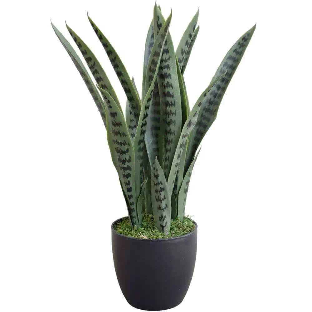 UV Resistant Artificial Snake Plant Sansevieria - 60cm, Mixed Green Leaves - SuperSaverAU - view 1