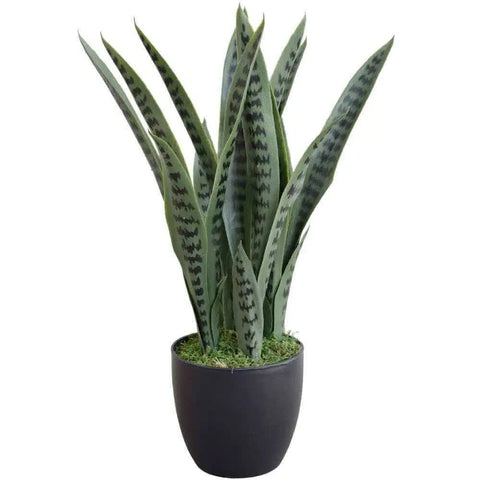 UV Resistant Artificial Snake Plant Sansevieria - 60cm, Mixed Green Leaves - SuperSaverAU - view 1