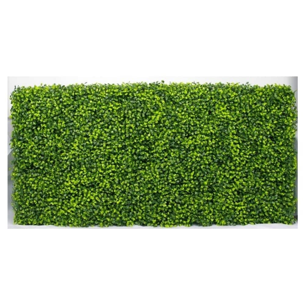 Instant Portable Mixed Boxwood Hedge Plant UV Resistant 100cm Long x 50cm High