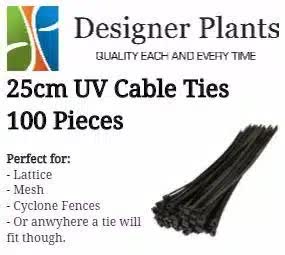 UV-Resistant 25cm Cable Ties 100 Pack for Artificial Vertical Garden Installations - SuperSaverAU - view 1