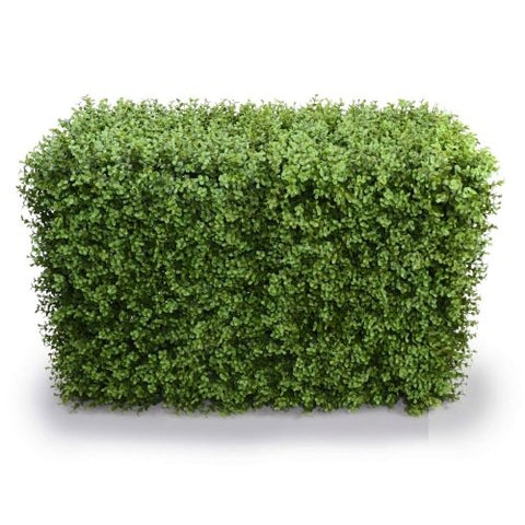 Deluxe Portable Buxus Faux Hedge Plant UV Resistant 100cm Long x 50cm High - SuperSaverAU - view 1