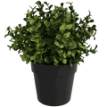 Faux Buxus Potted Outdoor Plant 20cm - UV Resistant, Recycled Materials - SuperSaverAU - view 1