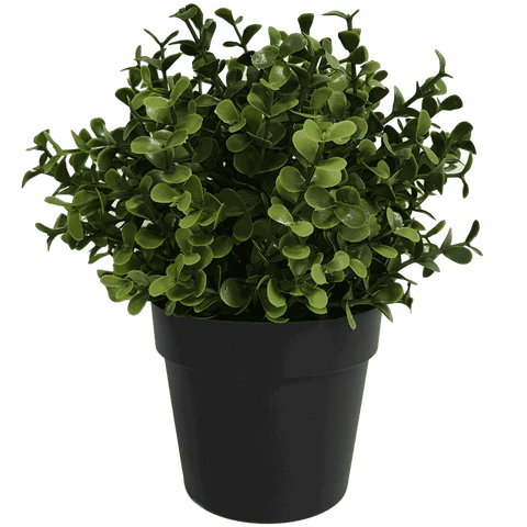 Faux Buxus Potted Outdoor Plant 20cm - UV Resistant, Recycled Materials - SuperSaverAU - view 1