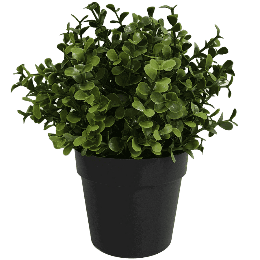 Faux Buxus Potted Outdoor Plant 20cm - UV Resistant, Recycled Materials - SuperSaverAU - view 1