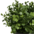 Faux Buxus Potted Outdoor Plant 20cm - UV Resistant, Recycled Materials - SuperSaverAU - view 3