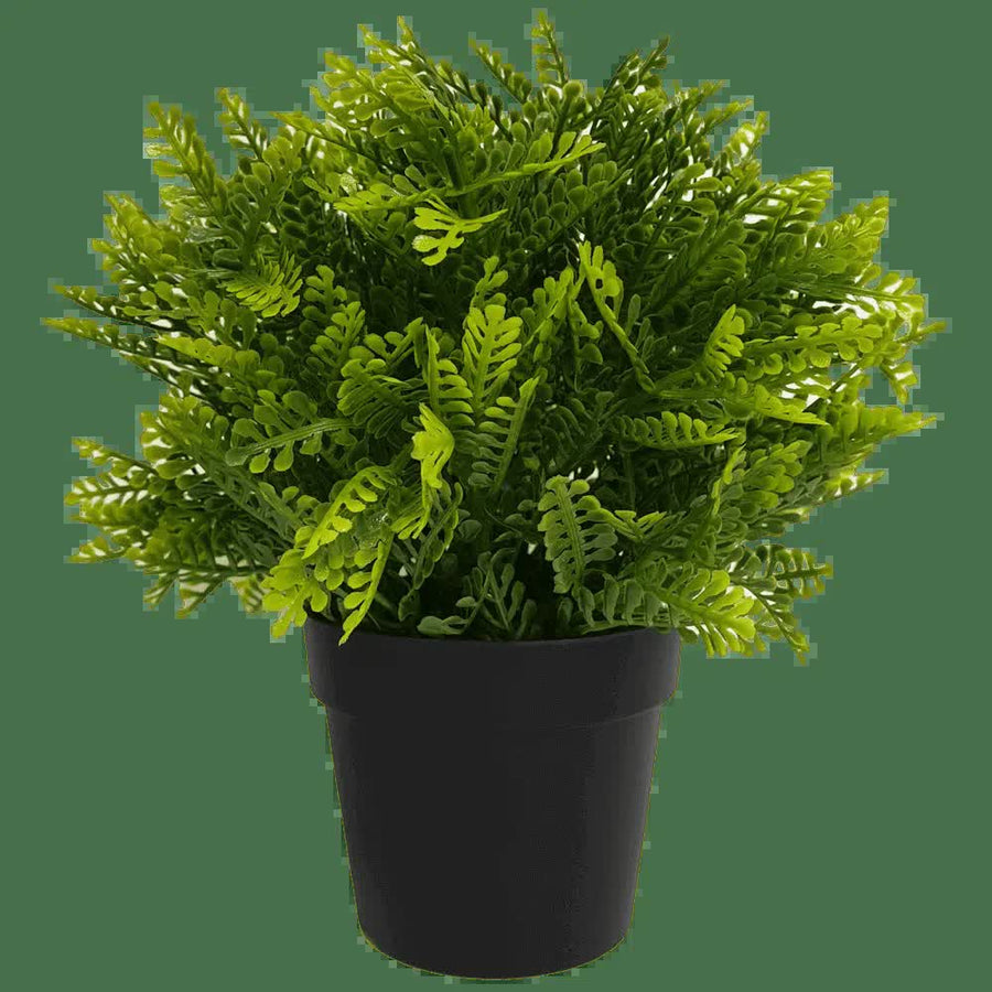 Faux Potted Artificial Fern 20cm - Indoor/Outdoor, UV Resistant, Recycled Materials - SuperSaverAU - view 1