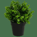 Potted Artificial Peperomia Plant 20cm - Indoor/Outdoor, UV Resistant, Recycled Materials - SuperSaverAU - view 1