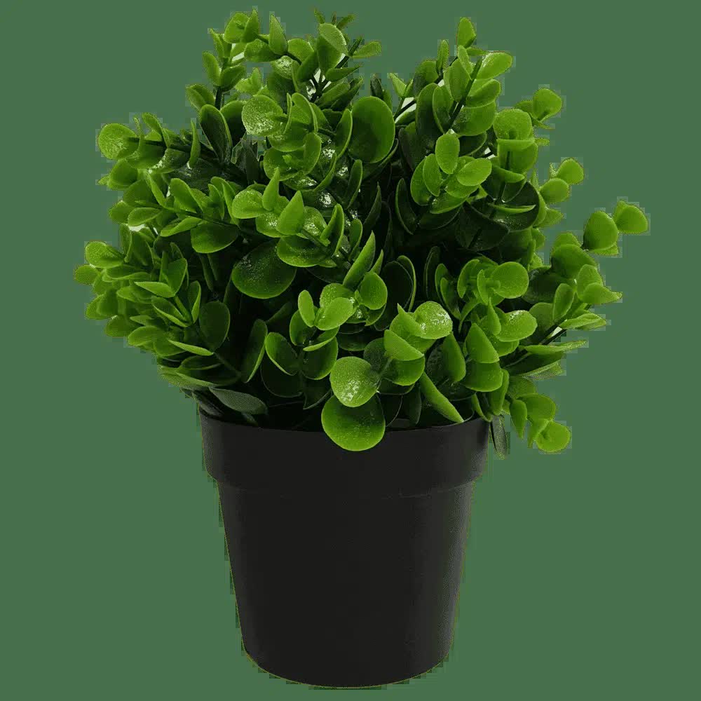 Potted Artificial Peperomia Plant 20cm - Indoor/Outdoor, UV Resistant, Recycled Materials - SuperSaverAU - view 1
