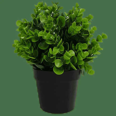 Potted Artificial Peperomia Plant 20cm - Indoor/Outdoor, UV Resistant, Recycled Materials - SuperSaverAU - view 1