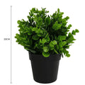 Potted Artificial Peperomia Plant 20cm - Indoor/Outdoor, UV Resistant, Recycled Materials - SuperSaverAU - view 2
