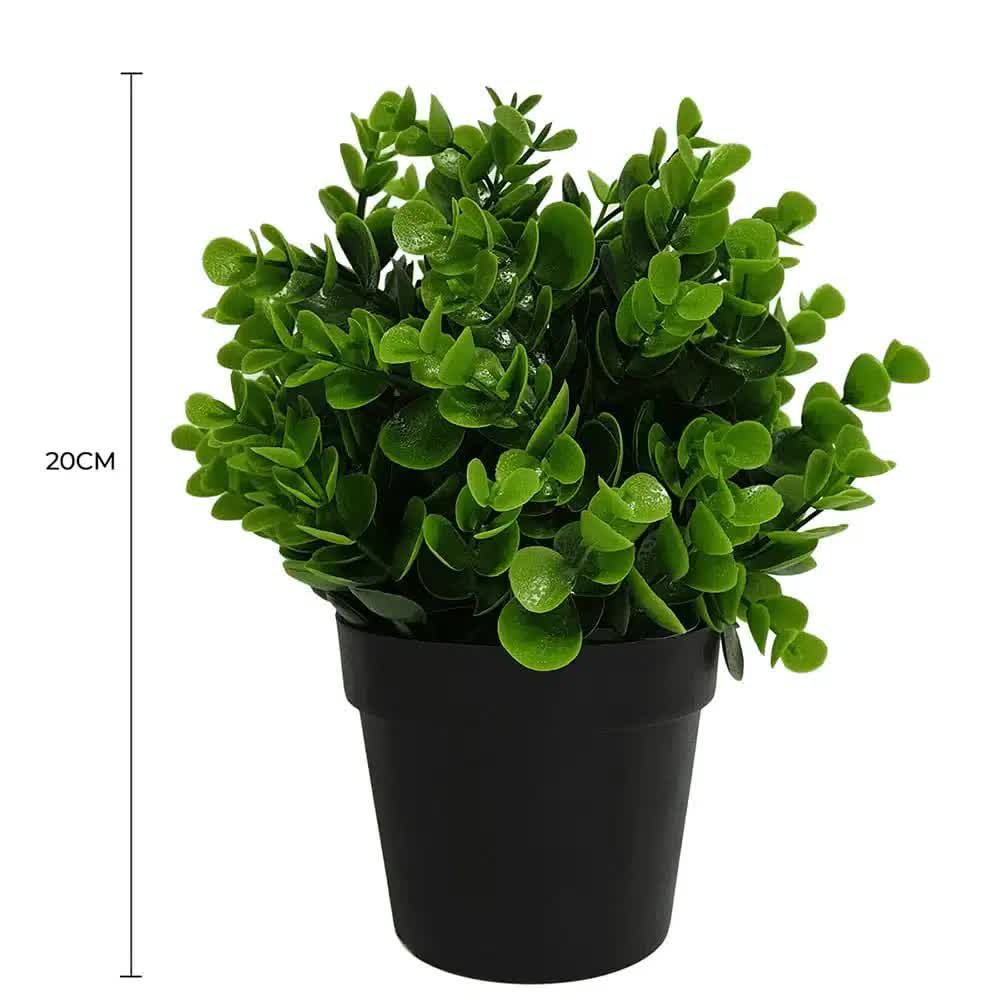 Potted Artificial Peperomia Plant 20cm - Indoor/Outdoor, UV Resistant, Recycled Materials - SuperSaverAU - view 2