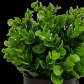 Potted Artificial Peperomia Plant 20cm - Indoor/Outdoor, UV Resistant, Recycled Materials - SuperSaverAU - view 3