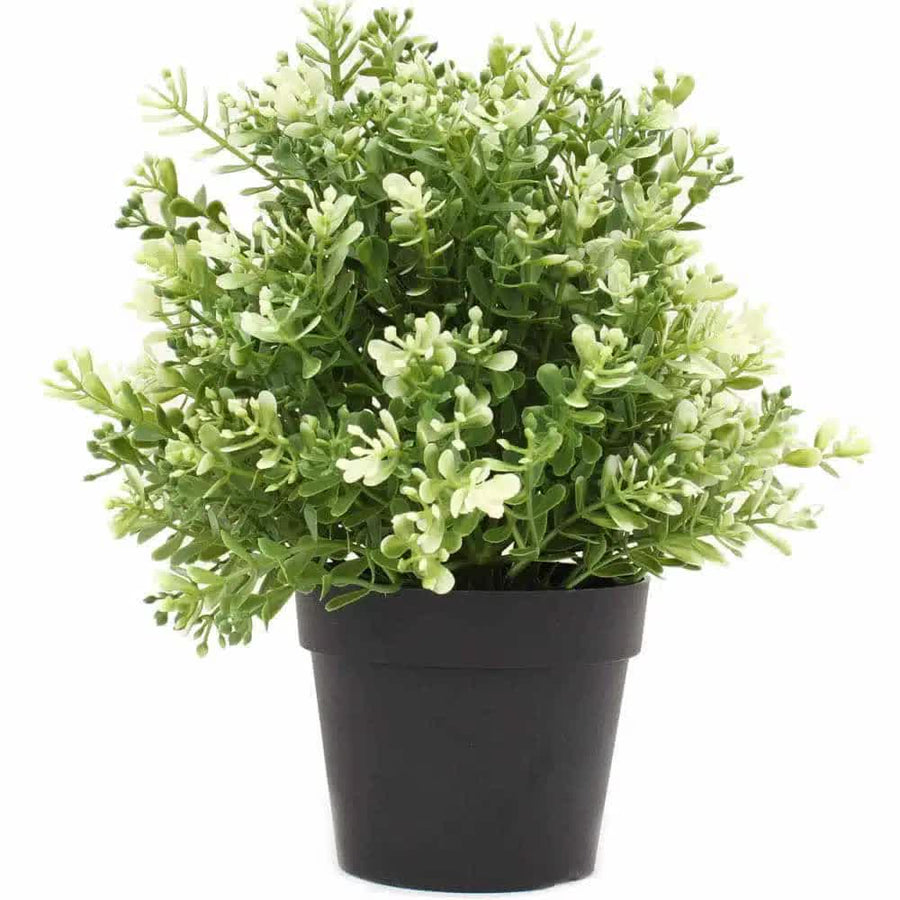 Small Potted Artificial White Jade Plant 20cm UV Resistant for Indoor/Outdoor - SuperSaverAU - view 1