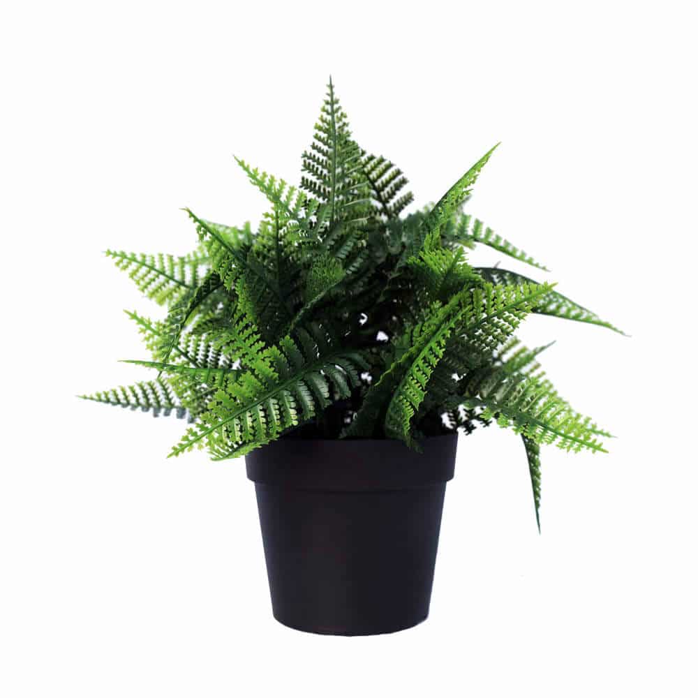 Potted Faux Boston Fern Plant 20cm - UV Resistant, Indoor/Outdoor Use - SuperSaverAU - view 1