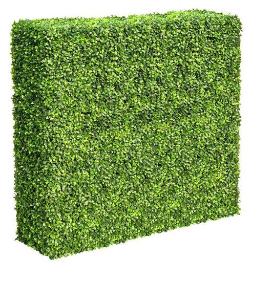 Mixed Boxwood Hedge Plant - UV Resistant, 100cm Long x 50cm High, Portable
