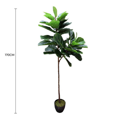 Fiddle Leaf Fig Tree 170cm - Real Touch, No Maintenance, Perfect for Home & Office