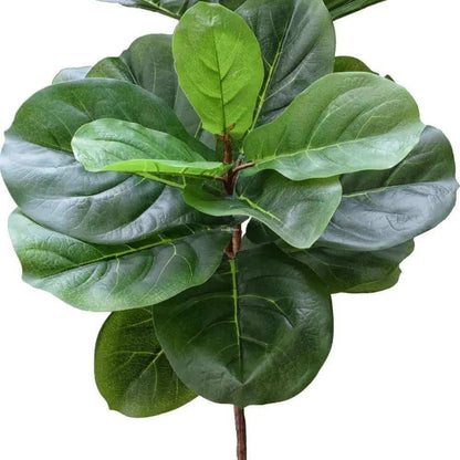 Fiddle Leaf Fig Tree 170cm - Real Touch, No Maintenance, Perfect for Home & Office