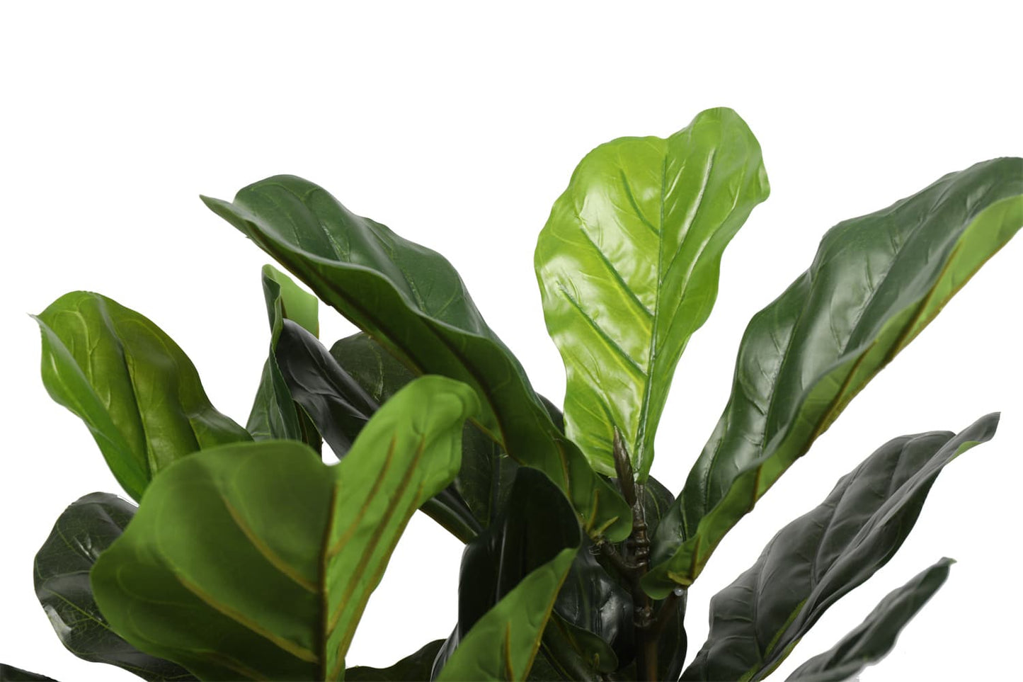 Dense Fiddle Leaf Fig Tree 70cm - Real Touch, No Maintenance, Indoor Use