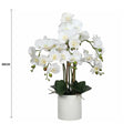 Large Flowering White Faux Potted Orchid 65cm - Lifelike, Low Maintenance, Modern Pot - SuperSaverAU - view 2
