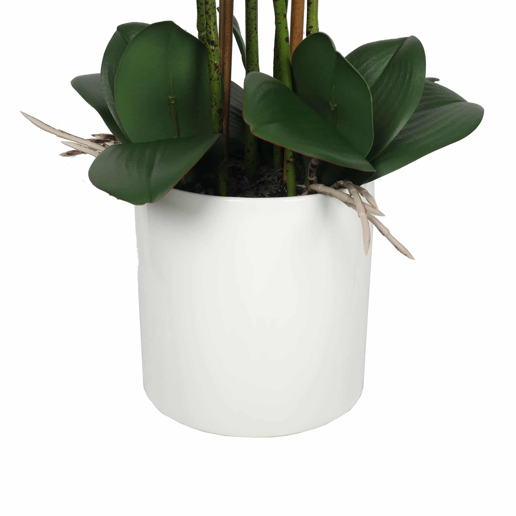 Large Flowering White Faux Potted Orchid 65cm - Lifelike, Low Maintenance, Modern Pot - SuperSaverAU - view 3
