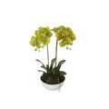 Artificial Orchid in a Pot 50cm - Dual Butterfly Faux Plant, Life-Like Foliage - SuperSaverAU - view 1