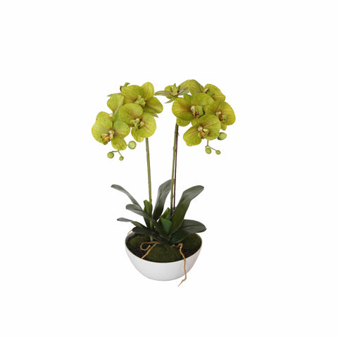 Artificial Orchid in a Pot 50cm - Dual Butterfly Faux Plant, Life-Like Foliage - SuperSaverAU - view 1