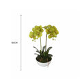Artificial Orchid in a Pot 50cm - Dual Butterfly Faux Plant, Life-Like Foliage - SuperSaverAU - view 2