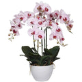 66cm Multi Stem Artificial Potted Orchid - Butterfly Orchid with Pink Flowers - SuperSaverAU - view 1