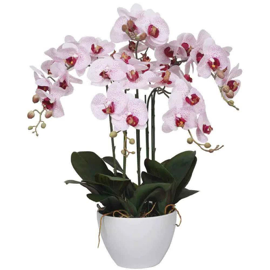 66cm Multi Stem Artificial Potted Orchid - Butterfly Orchid with Pink Flowers - SuperSaverAU - view 1