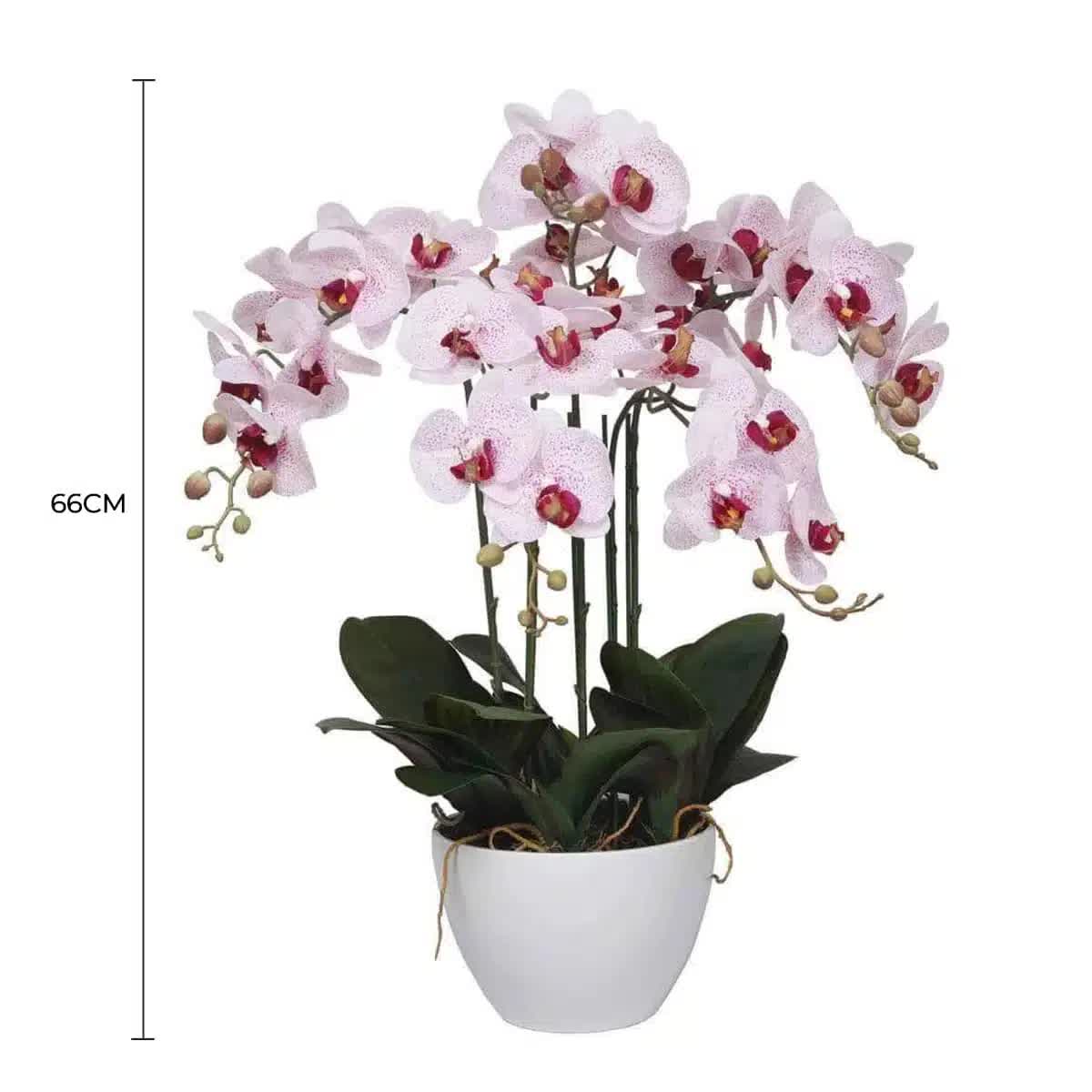 66cm Multi Stem Artificial Potted Orchid - Butterfly Orchid with Pink Flowers - SuperSaverAU - view 2