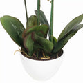 66cm Multi Stem Artificial Potted Orchid - Butterfly Orchid with Pink Flowers - SuperSaverAU - view 3
