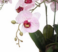 66cm Multi Stem Artificial Potted Orchid - Butterfly Orchid with Pink Flowers - SuperSaverAU - view 4
