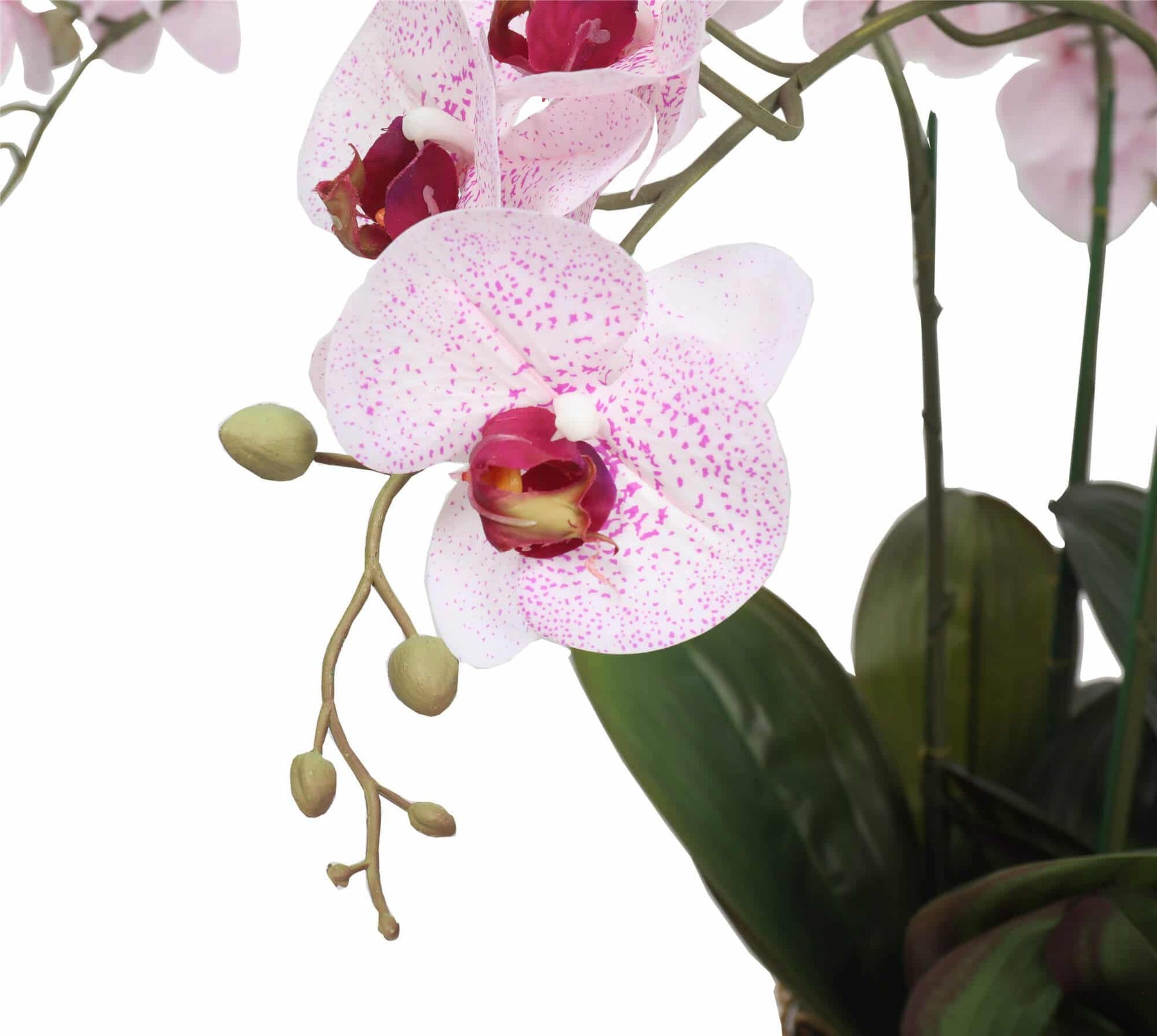 66cm Multi Stem Artificial Potted Orchid - Butterfly Orchid with Pink Flowers - SuperSaverAU - view 4
